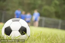 完美体育在线-足球队员获得掌声，实力表现备受赞誉 