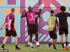 完美体育下载app-比利时队名将重返国家队，备战国际杯赛 