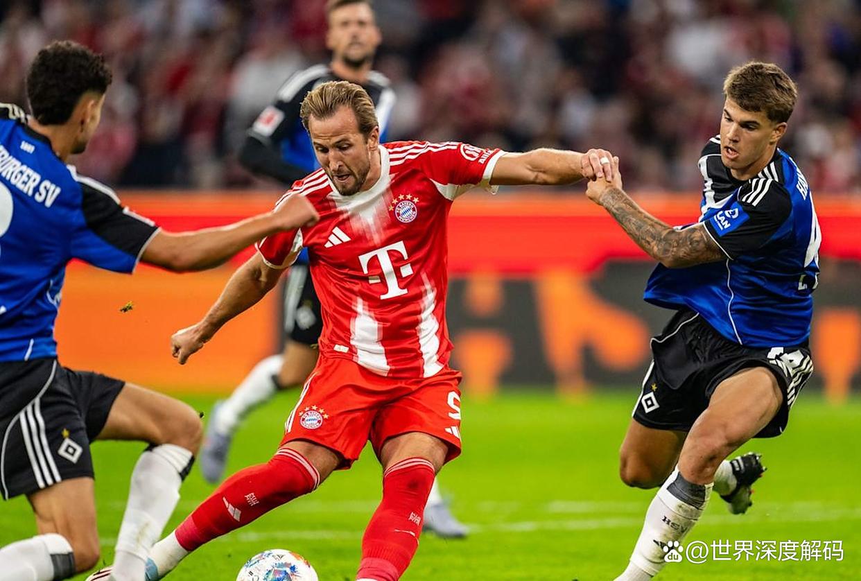 完美体育官网-汉堡队伤愈球员回归，力争主场击败对手