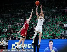 完美体育在线-辽宁男篮再夺冠，壮举登上风口浪尖的简单介绍